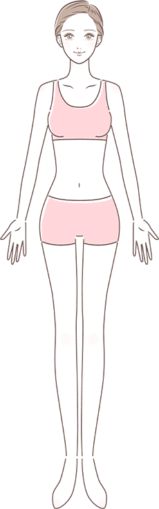 正面のイラスト